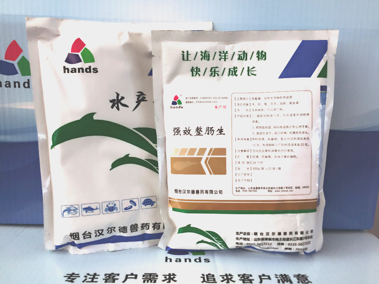 强效整肠生